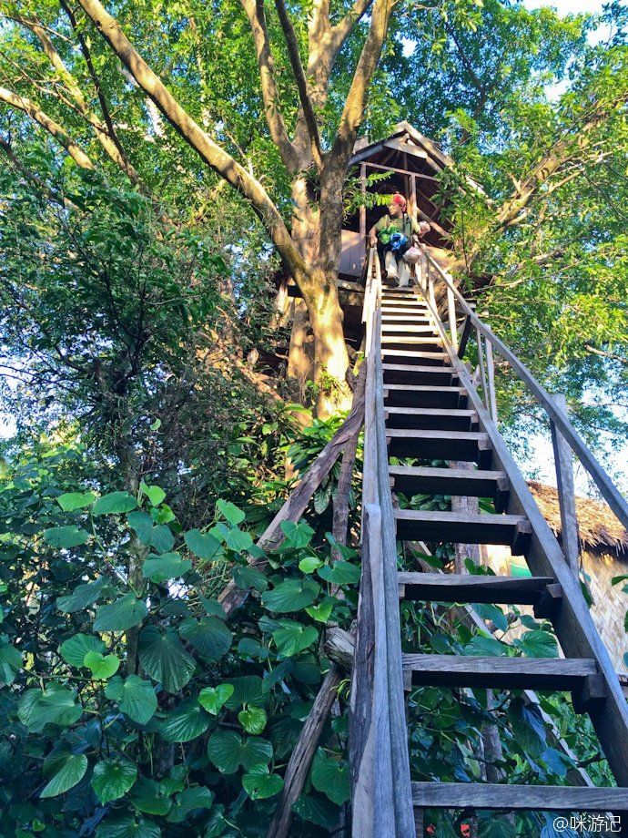 你住过树屋吗？直接望见活火山那种