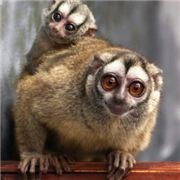 是时候秀一波下限了