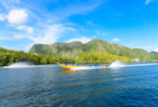 翠峰雨林景点图片