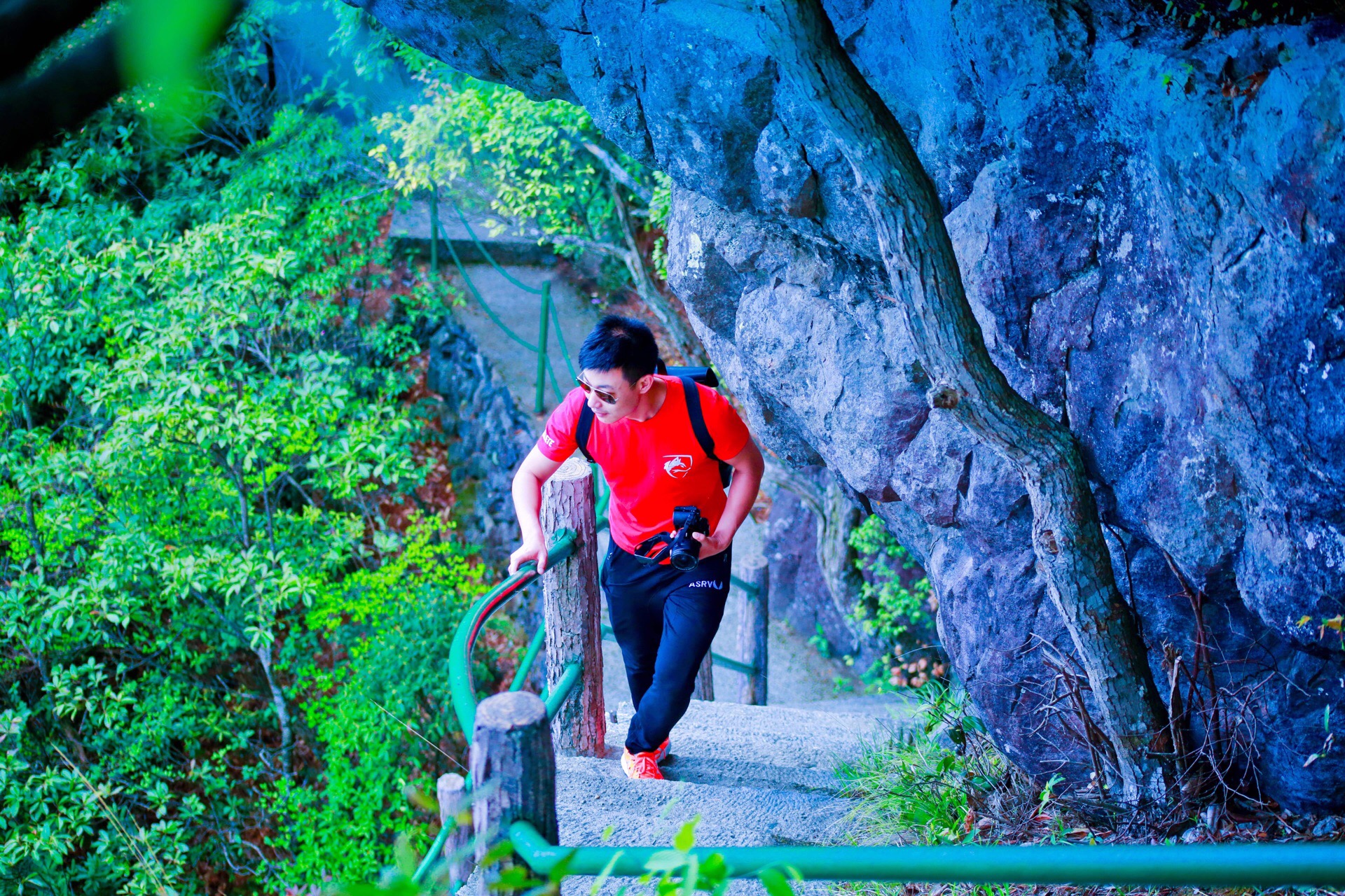 绝壁奇松餐厅图片