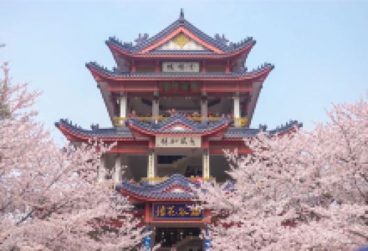 无锡市太湖鼋头渚风景区景点图片