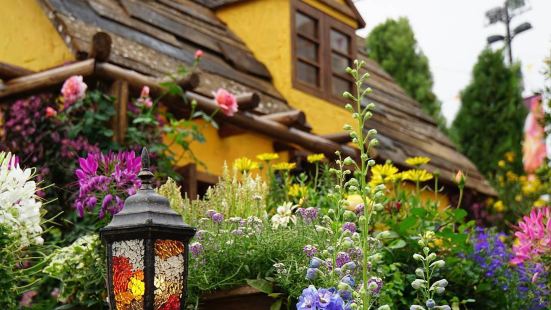Hong Kong Flower Show