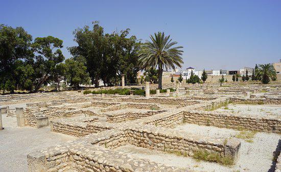 镀金的马赛克  我们公司是以做地砖和瓷砖为主的，公司在突尼斯有个分部，今年的4月我居然给委派到突尼斯