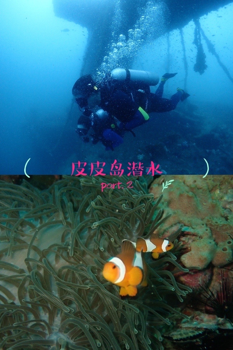 普吉PADI潜水证考取～发现水下30米不一样的皮皮岛part.2 坐标皮皮岛海域，水下30米。 发现