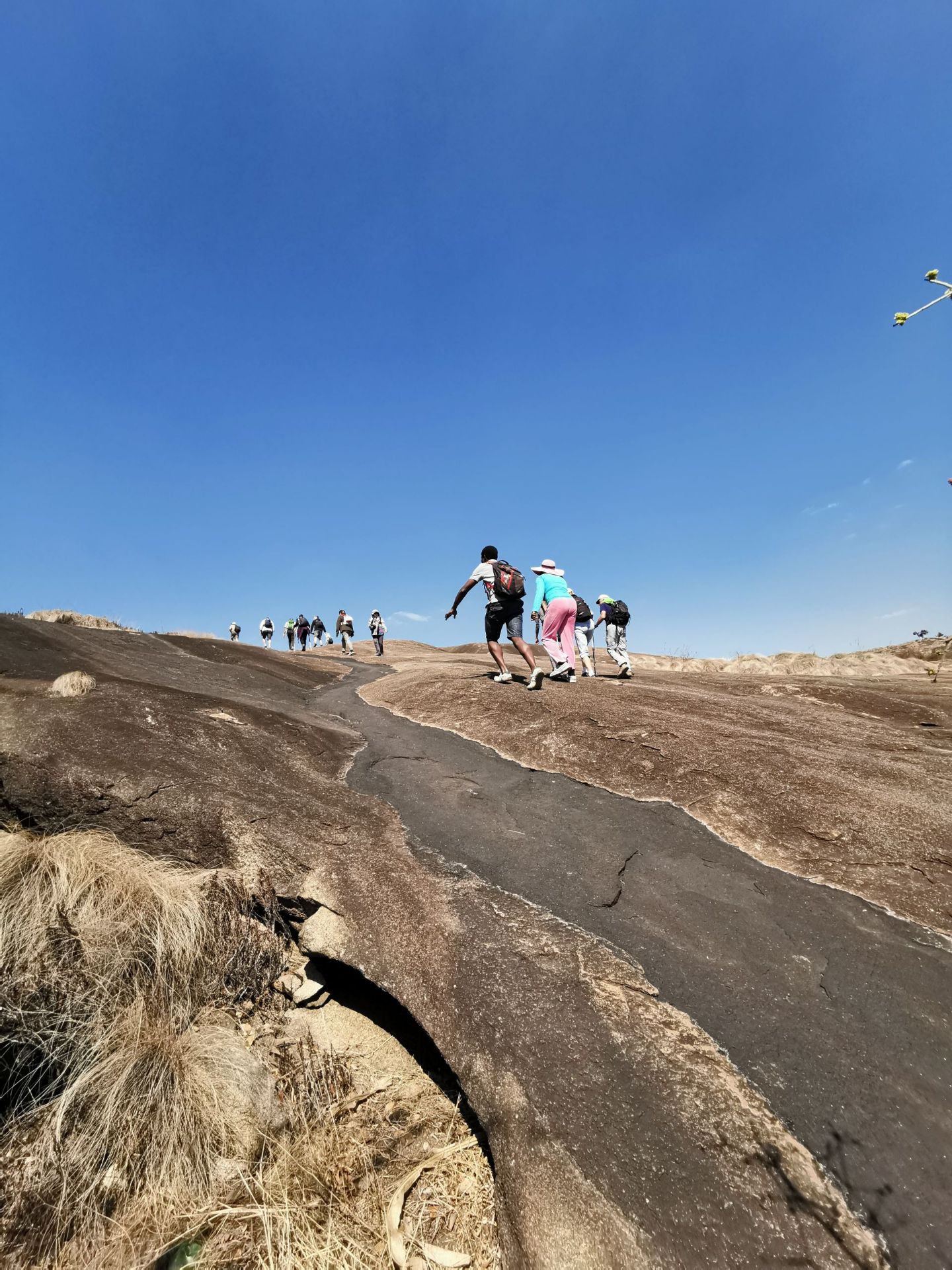 哈拉雷北部Domboshava石头山上的远古黑人岩画