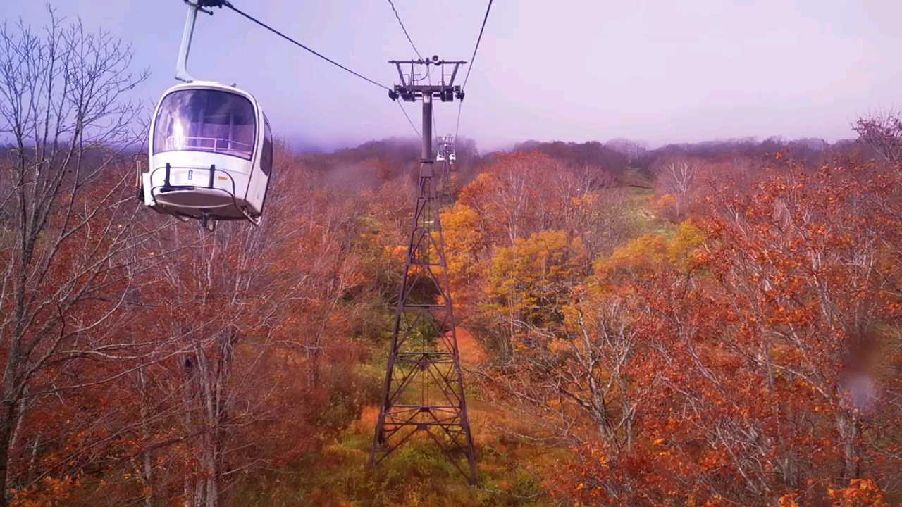 来，大家一起，跟着我们，乘 “  妙高高原缆车  ”！看，“ 妙高高原”，最美，枫叶林！