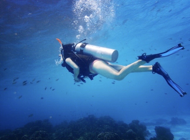 🤩泰国普吉岛，来一场充满神奇的潜水旅行吧，一探神秘的海底世界！和鱼群一起在海底自由的遨游！  ✨神奇