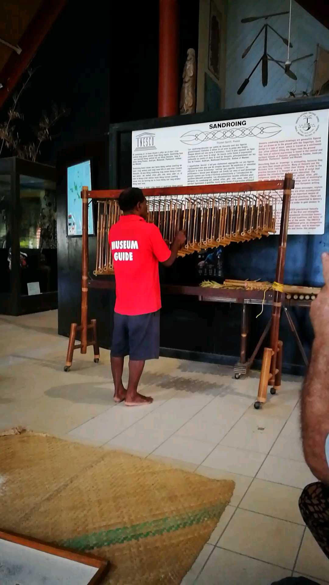 南太平洋岛国的竹编乐器，声音清悦，有点像我们的编钟，不是敲击而是弹拨。