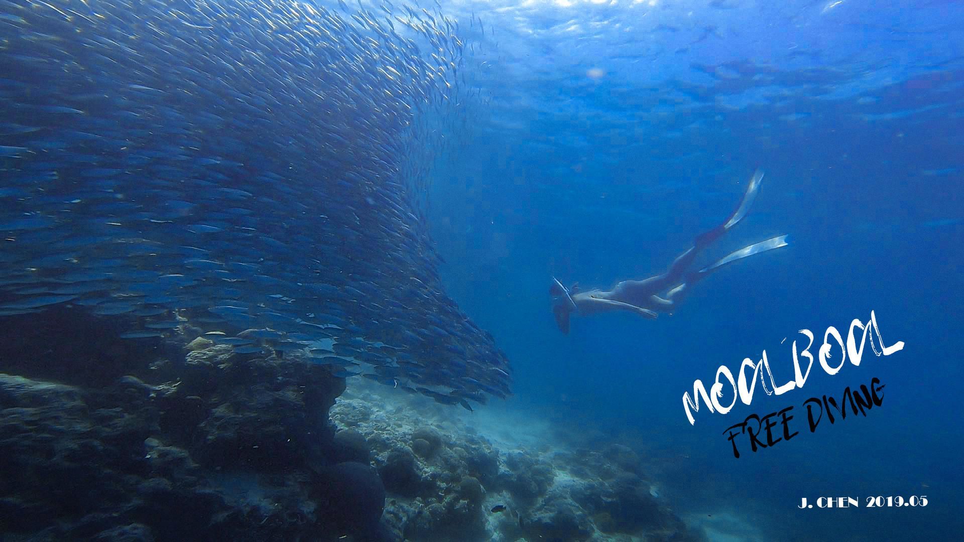 菲律宾·墨宝丨我们去潜水看沙丁鱼风暴吧！  宿务 西南约90公里处，有一个叫墨宝的地方，以壮观的沙丁