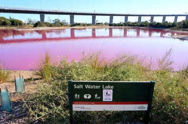 梦幻的粉红湖，你见过没？
