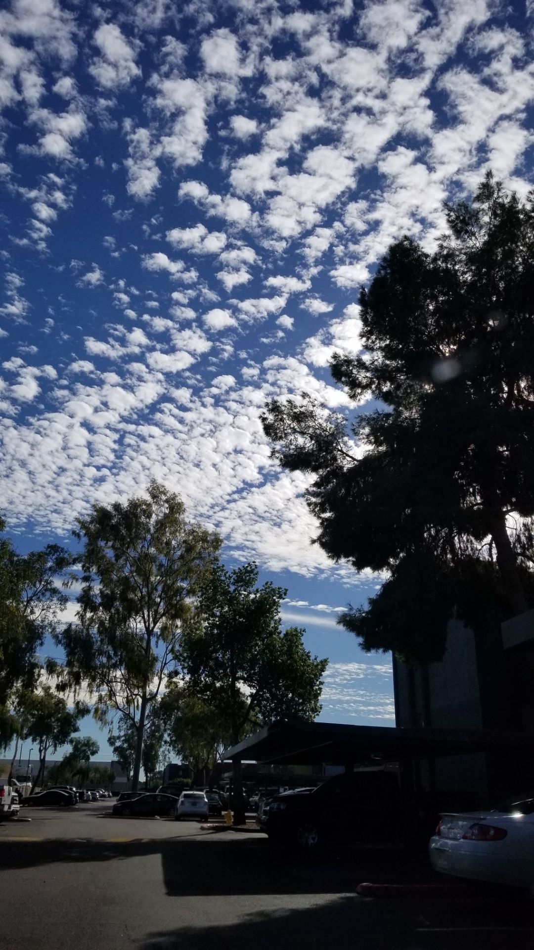亚利桑那的天空