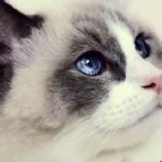 躺在黑名单上的人