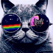 可能如果可惜没如果