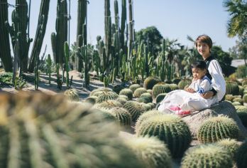 环岛路+南普陀+曾厝垵+厦门大学+植物园+钟鼓索道包车1对1【行程自由，想去哪里去哪里，独立成团，拒绝拼车，亲友出行更自在】