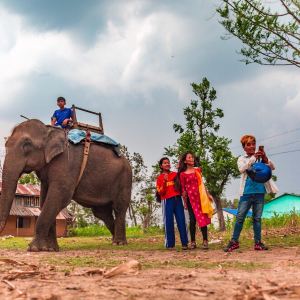 Chitwan