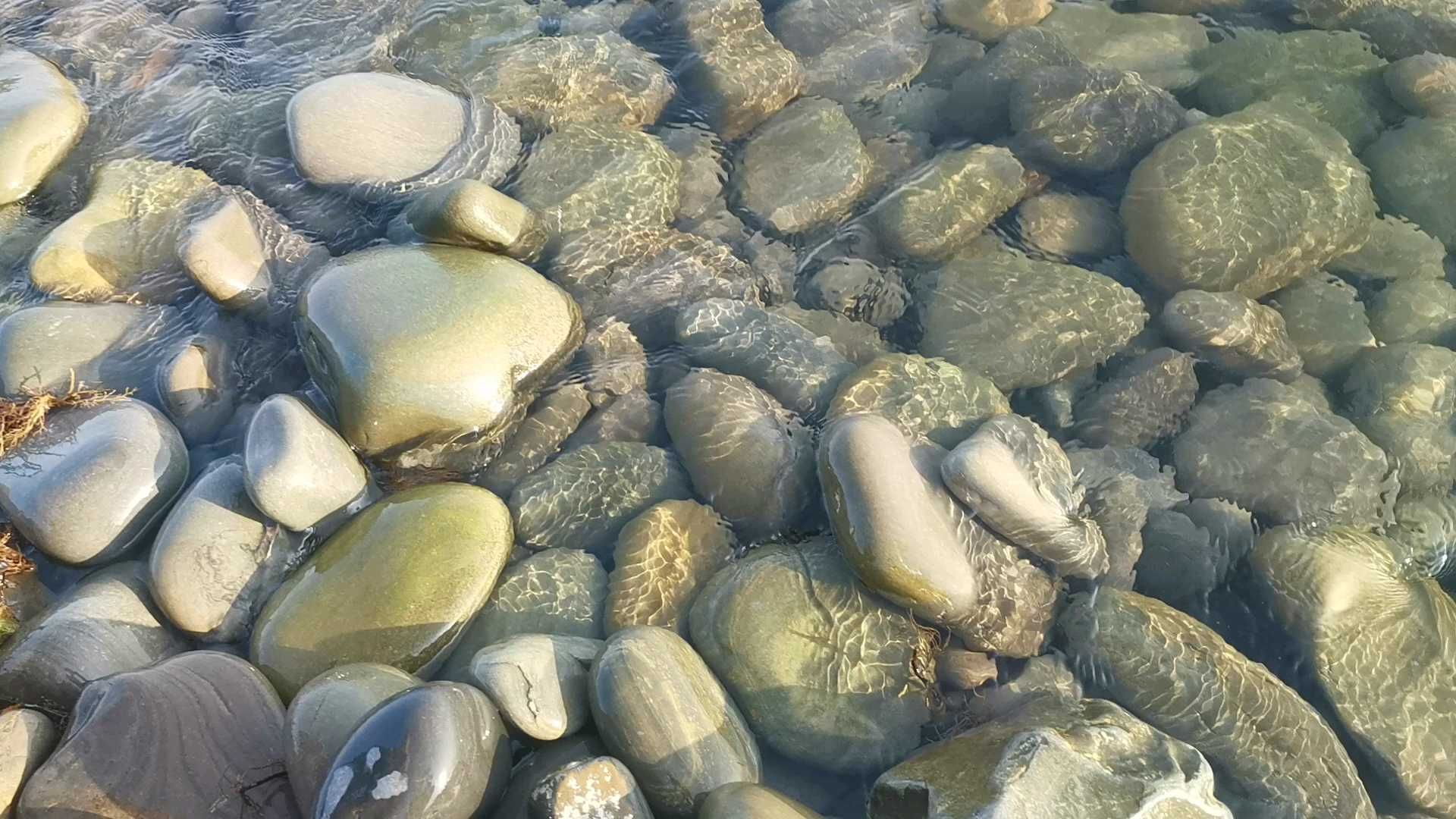 黑海的海岸是鹅卵石构成的