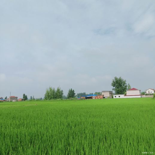 骑龙村