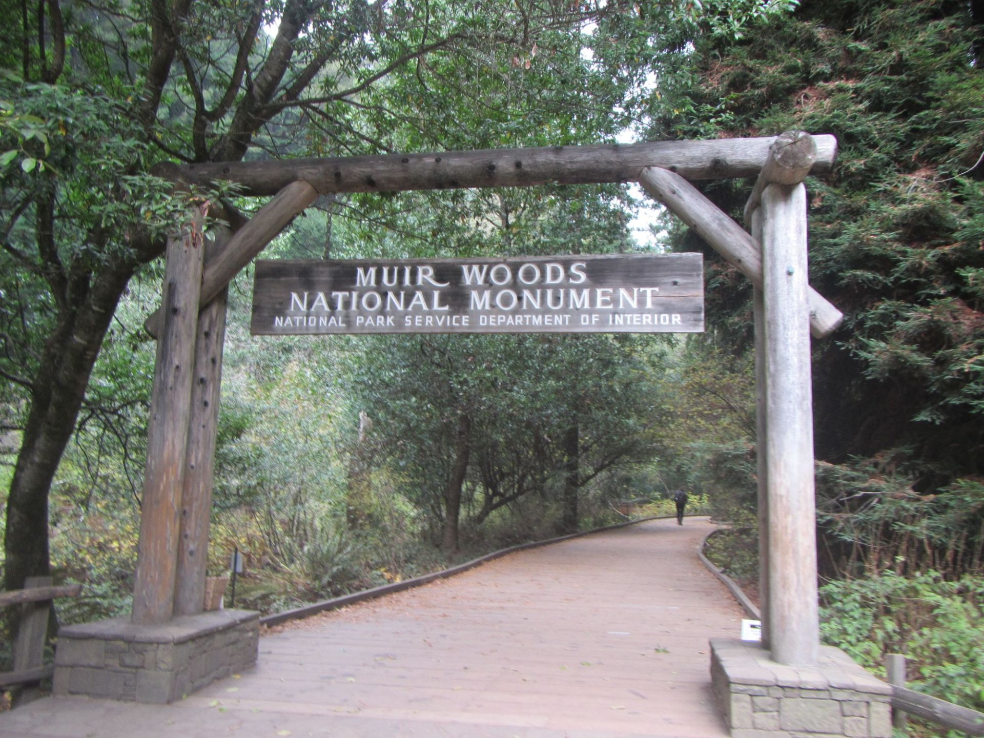 Muir Woods 了解一下