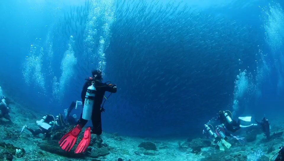 达拉湾水道-海狼风暴奇观。大流，挂着流钩飘在半空，把潜友的镜头完全挡住，要拍海狼必须带上我的光辉形象