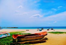 达奇湾景点图片