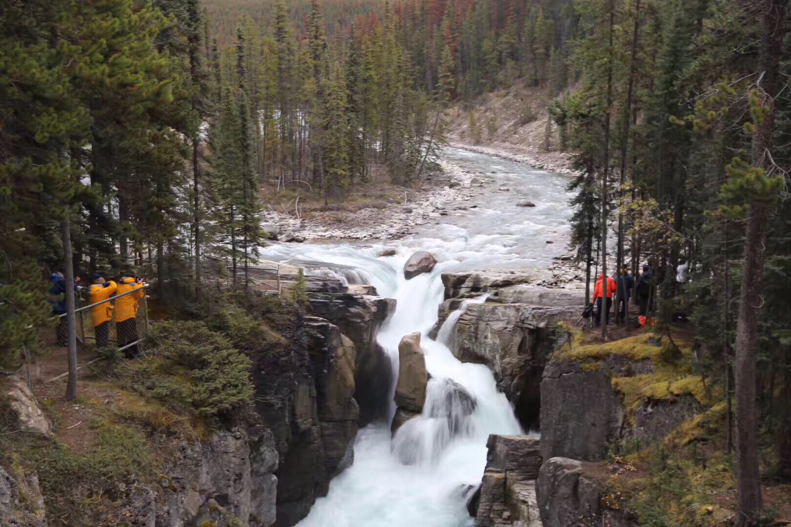 【新华达瀑布】 加拿大🇨🇦贾斯珀国家公园的位于新华达河上的新华达瀑布，河床崎岖起伏，河水流速较快，不