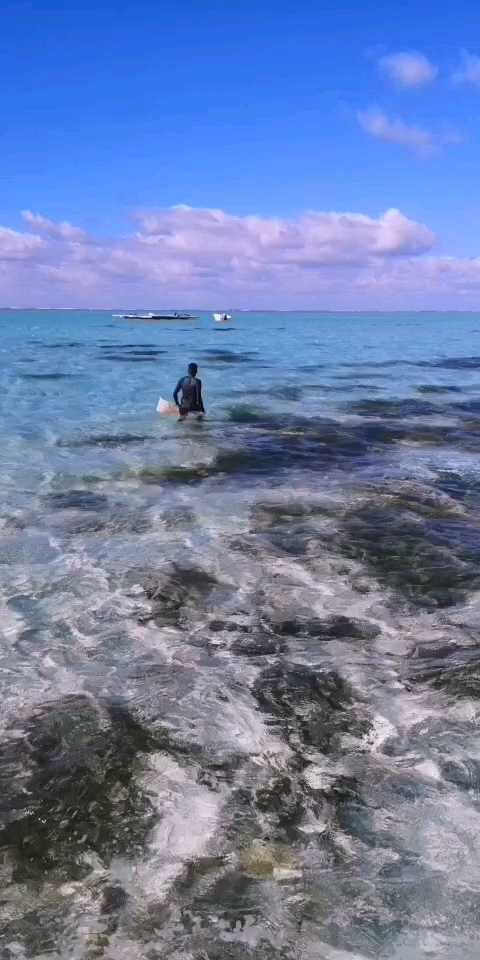 毛里求斯浮潜抓海胆 加入柠檬汁 生吃 滋味难以言表