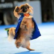 最爱你的眼睫毛