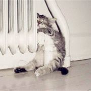 我喜欢的我样子你都有