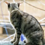 你举杯我回应我的崩溃