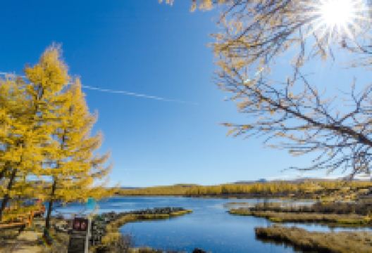 杜鹃湖景点图片