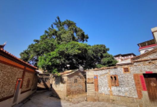 蟳埔村景点图片