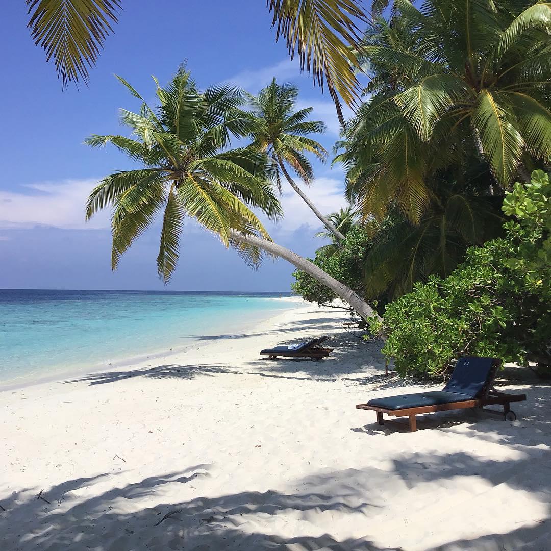 浮潜天堂——菲莉兹尤岛  和老婆商量了半个月，还是巨鼎去马尔代夫度蜜月，但是马代这么多岛，我们选哪个