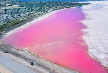 Pink Lake景点图片