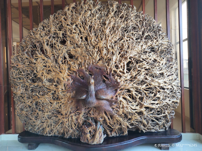 九龙头根雕，是不是很神奇！孔雀根雕！
