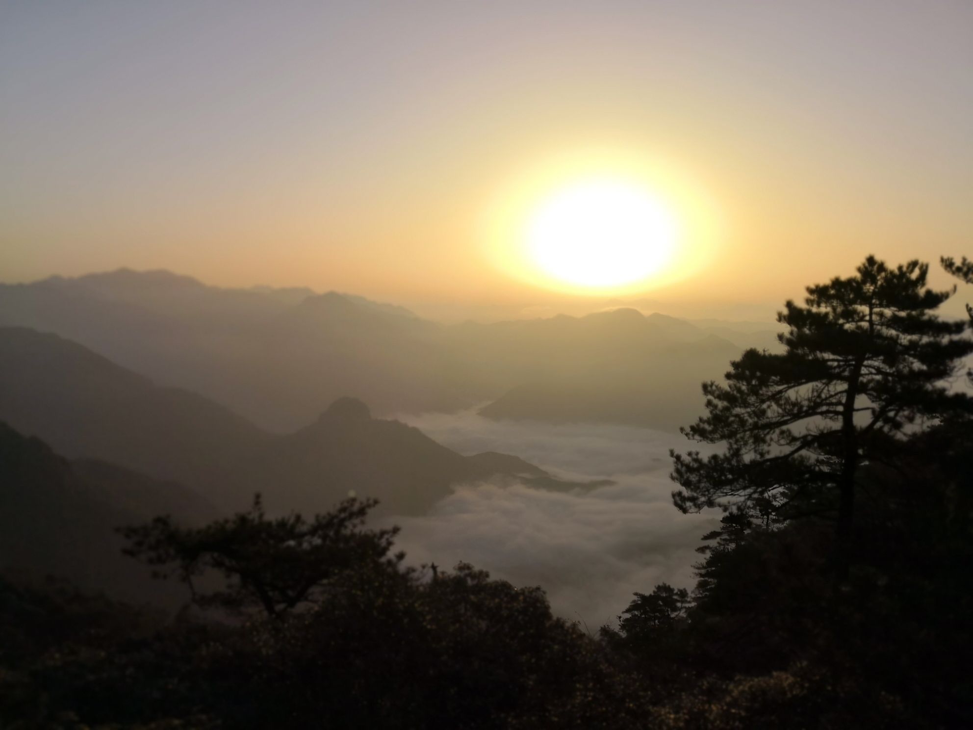 武夷山国家保护区，乌君山