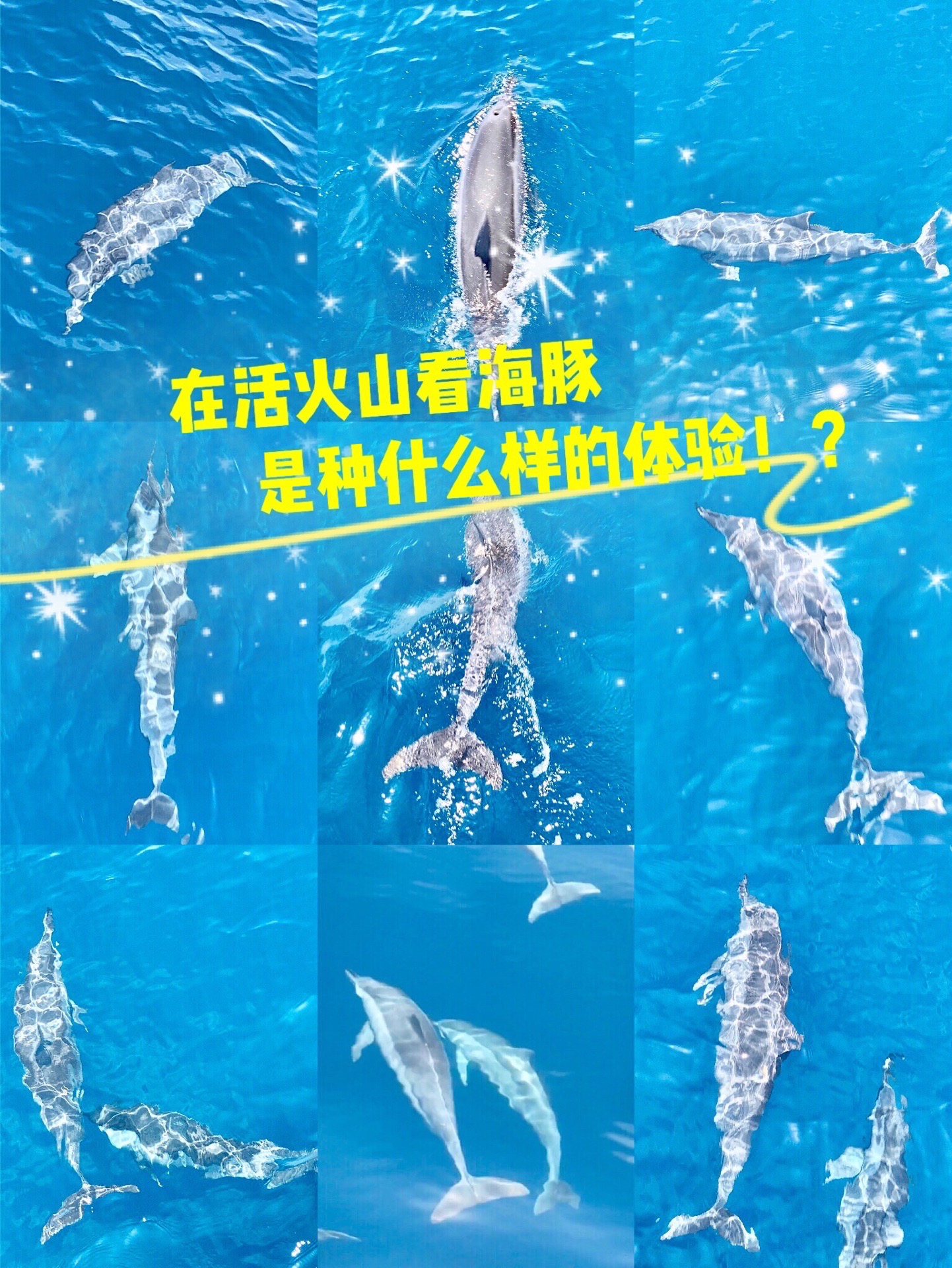 龟山岛 🌋在活火山看海豚🐬是种什么样的体验⁉️⁉️  🔓解锁你所不知道的台湾龟山岛  是当地难得的赏