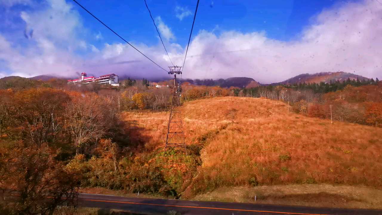 深秋，11月初，大家一起，跟着我们，去  新潟县·日本  ，“  妙高高原   ”，乘“  妙高高原