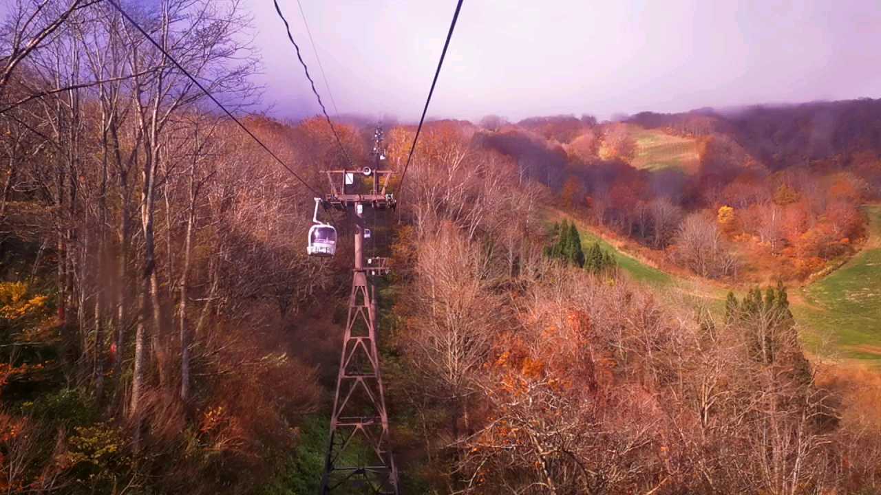 深秋，十一月初，在 新潟县·日本  ， 妙高高原  ，赶上最後一天，能有机会，乘 “  妙高高原缆车