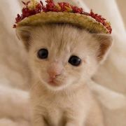 喜欢胡思乱想的吴蕙江