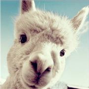 长涧河边上的少年