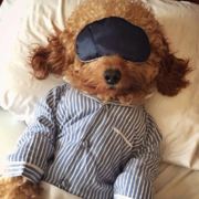 我在乎你在乎谁