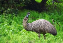 陶尔希尔野生动物自然保护区景点图片