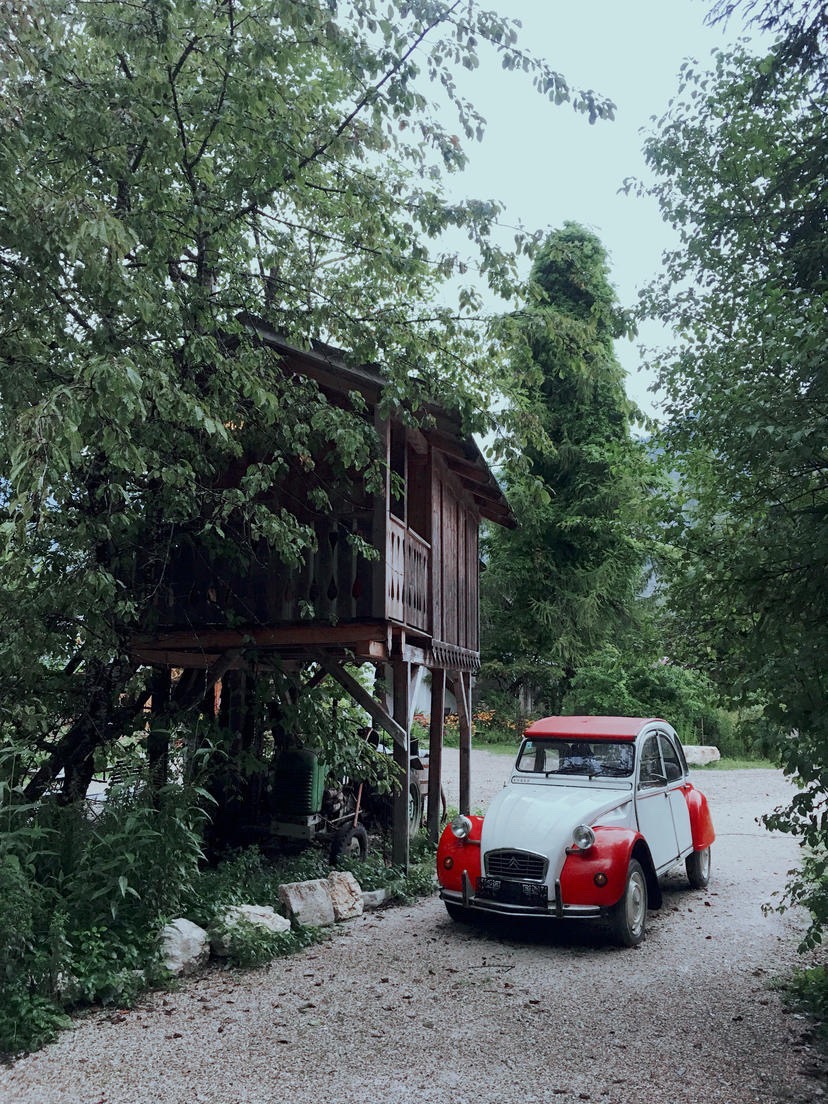 哈尔施塔特湖边的营地森林里，有一片安希公园山林小屋，湖光山色，分外静谧美好～