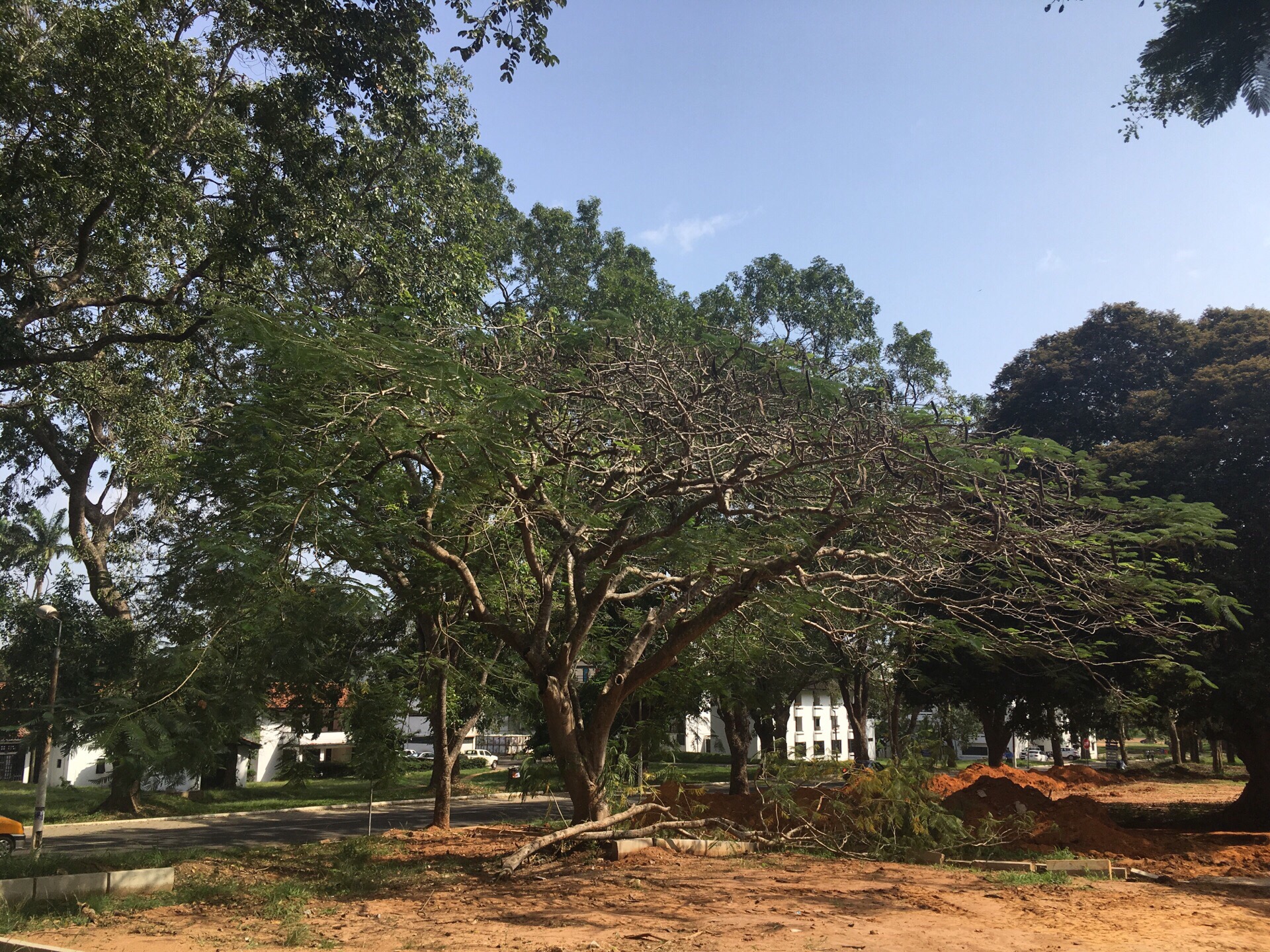 黄金海岸 Republic Of Ghana