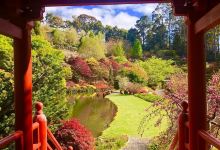 Emu Valley Rhododendron Garden景点图片