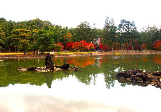 潇潇洒洒，古色传香——毛越寺  毛越寺，是日本规模较大的一座寺庙。里面有假山，有湖泊，有枫树林，有很