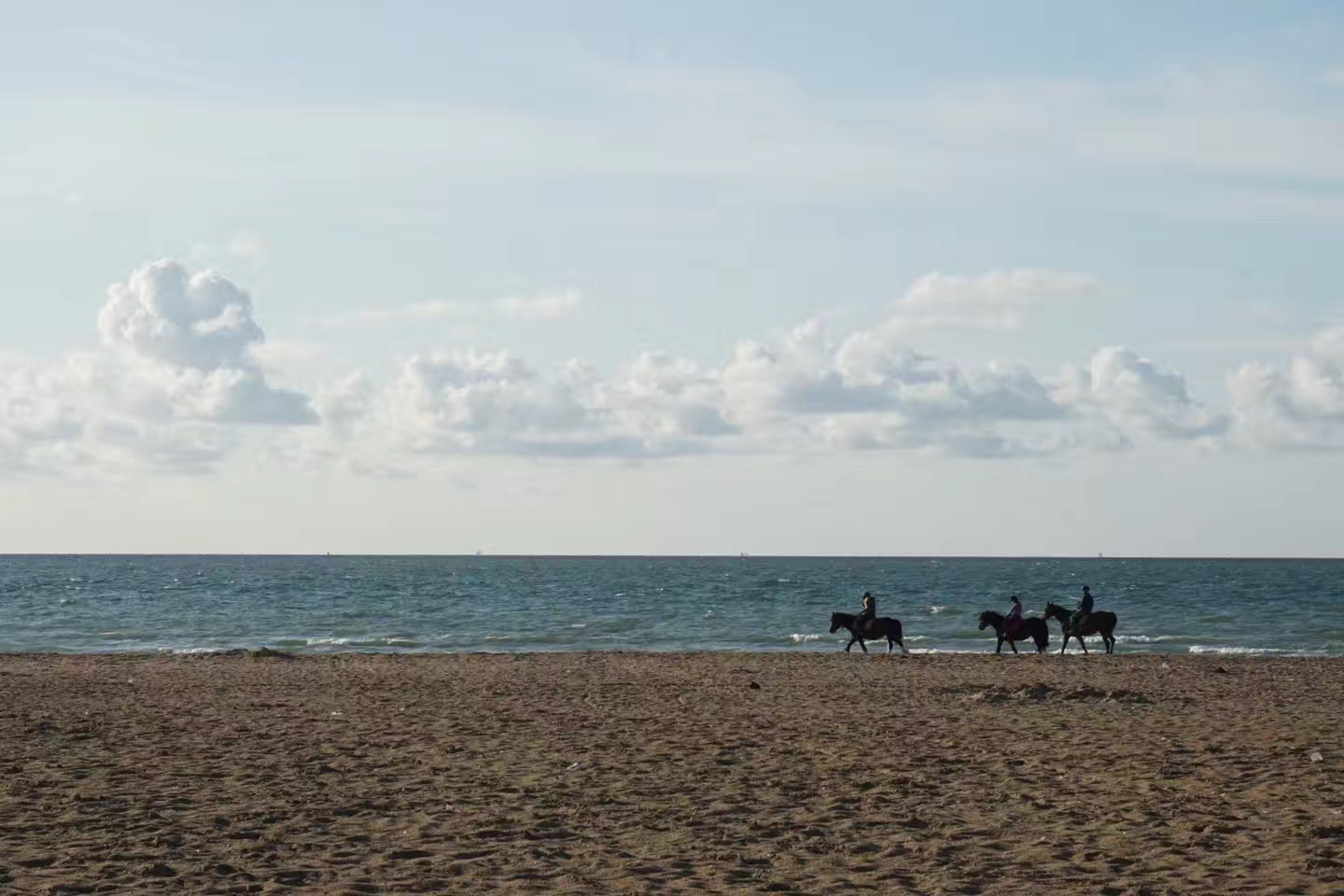 多维尔（Deauville）：以诺曼底最优美的海岸闻名。 以高级疗养地闻名的多维尔，包括沿岸地区，处