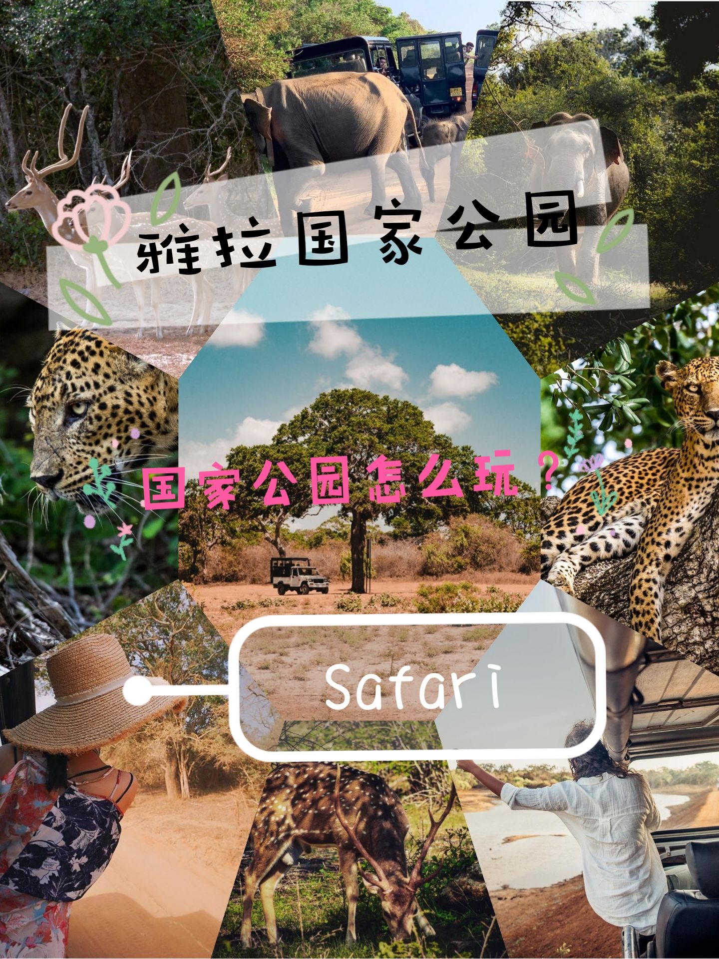  斯里兰卡是亚洲唯一可以Safari的国家公园，因为能看到非常珍稀，稀有的锡兰豹，有着强烈的吸引力。