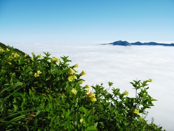 热爱大自然的你，来到北海道可千万不可以错过最美层云峡 ⛰️层云峡位于北海道屋脊大雪山山麓，上川郡上川