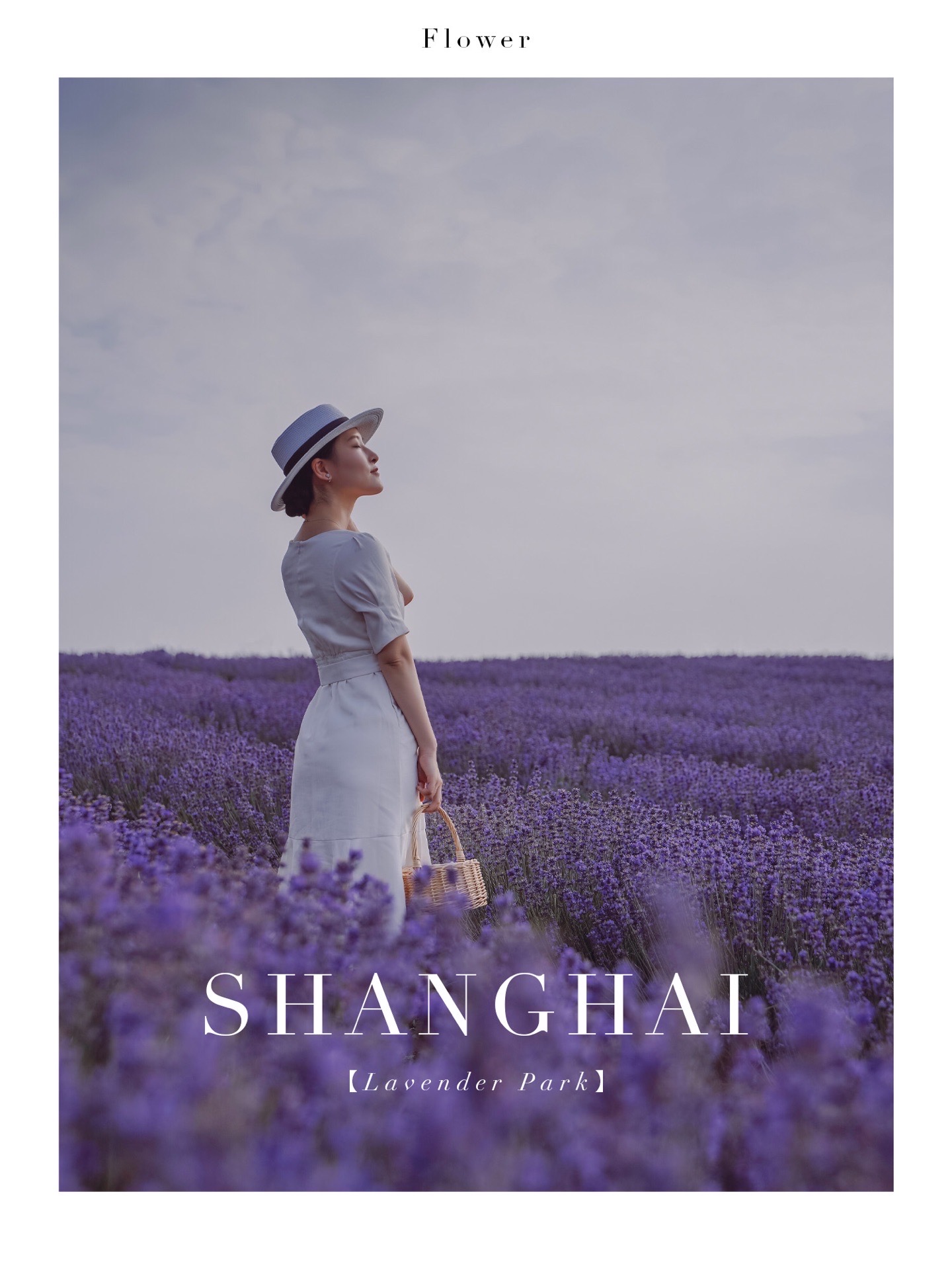 🇨🇳中国上海｜记忆是阵阵花香，薰衣草公园 . 抓住了5月的尾巴，在上海的 普罗旺斯 装了一回名媛。虽